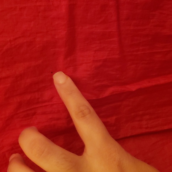 Marlboro Windbreaker Jacket - Picture 4 of 13